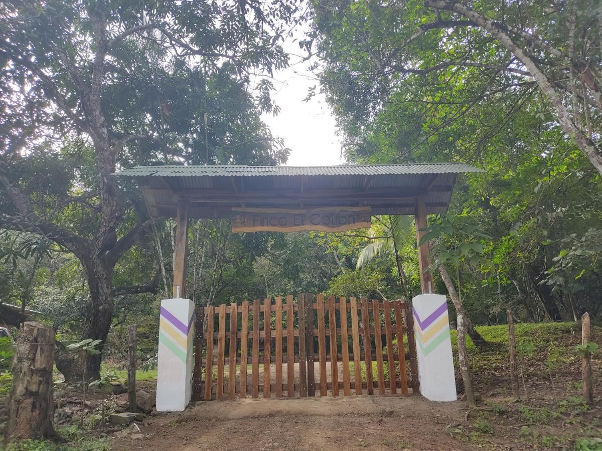 Finca Colibri Ecolodges En Pleine Nature Ferry Playa Najanjo Costa Rica Cabo Blanco Zewnętrze zdjęcie