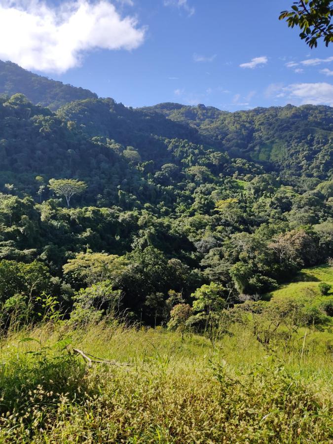 Finca Colibri Ecolodges En Pleine Nature Ferry Playa Najanjo Costa Rica Cabo Blanco Zewnętrze zdjęcie