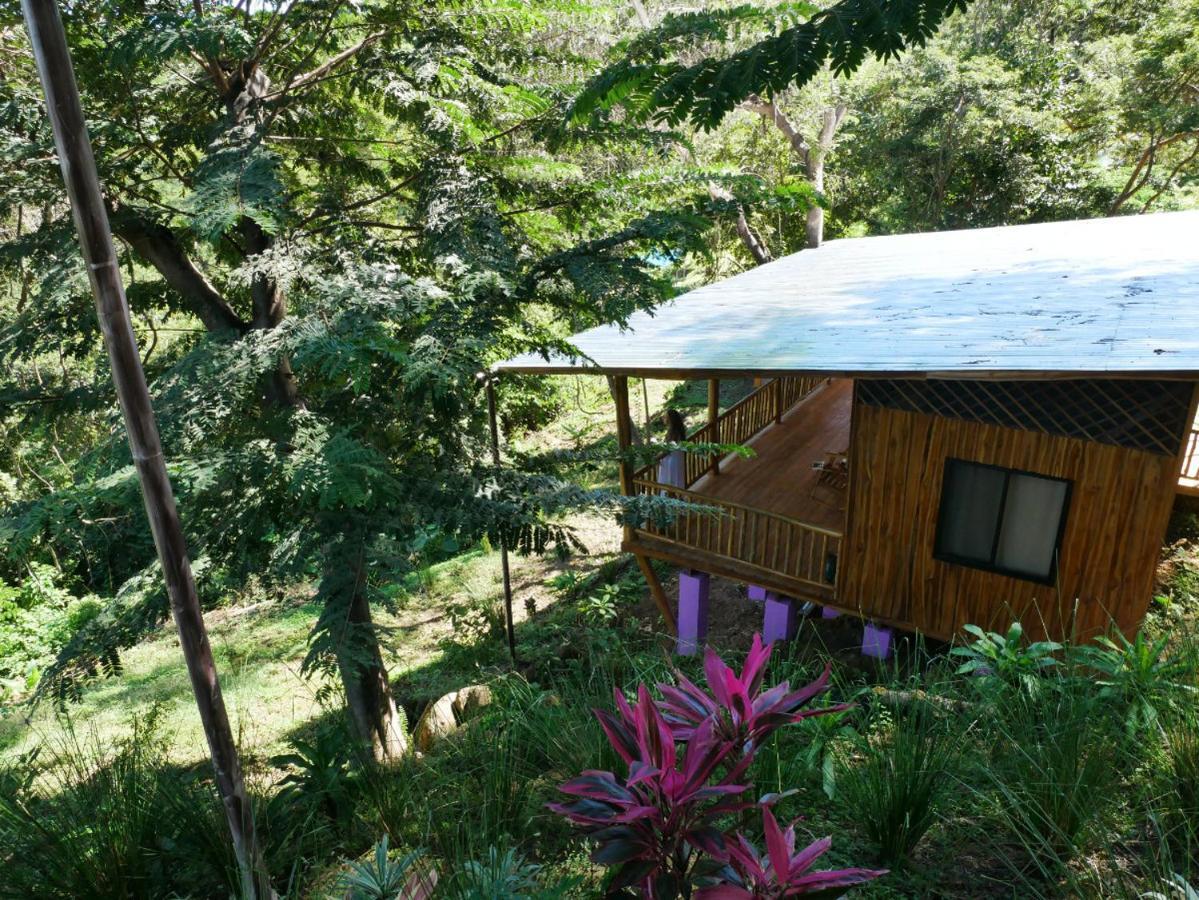 Finca Colibri Ecolodges En Pleine Nature Ferry Playa Najanjo Costa Rica Cabo Blanco Zewnętrze zdjęcie