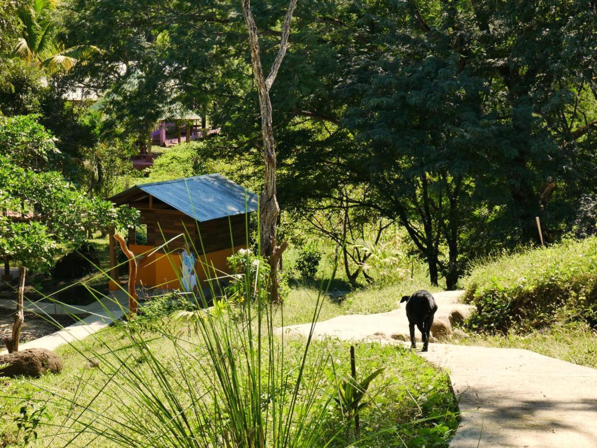 Finca Colibri Ecolodges En Pleine Nature Ferry Playa Najanjo Costa Rica Cabo Blanco Zewnętrze zdjęcie