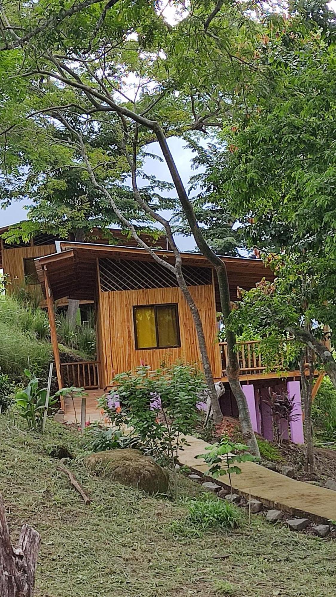 Finca Colibri Ecolodges En Pleine Nature Ferry Playa Najanjo Costa Rica Cabo Blanco Zewnętrze zdjęcie