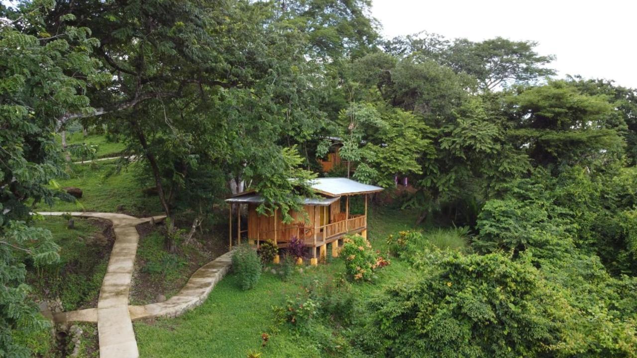 Finca Colibri Ecolodges En Pleine Nature Ferry Playa Najanjo Costa Rica Cabo Blanco Zewnętrze zdjęcie