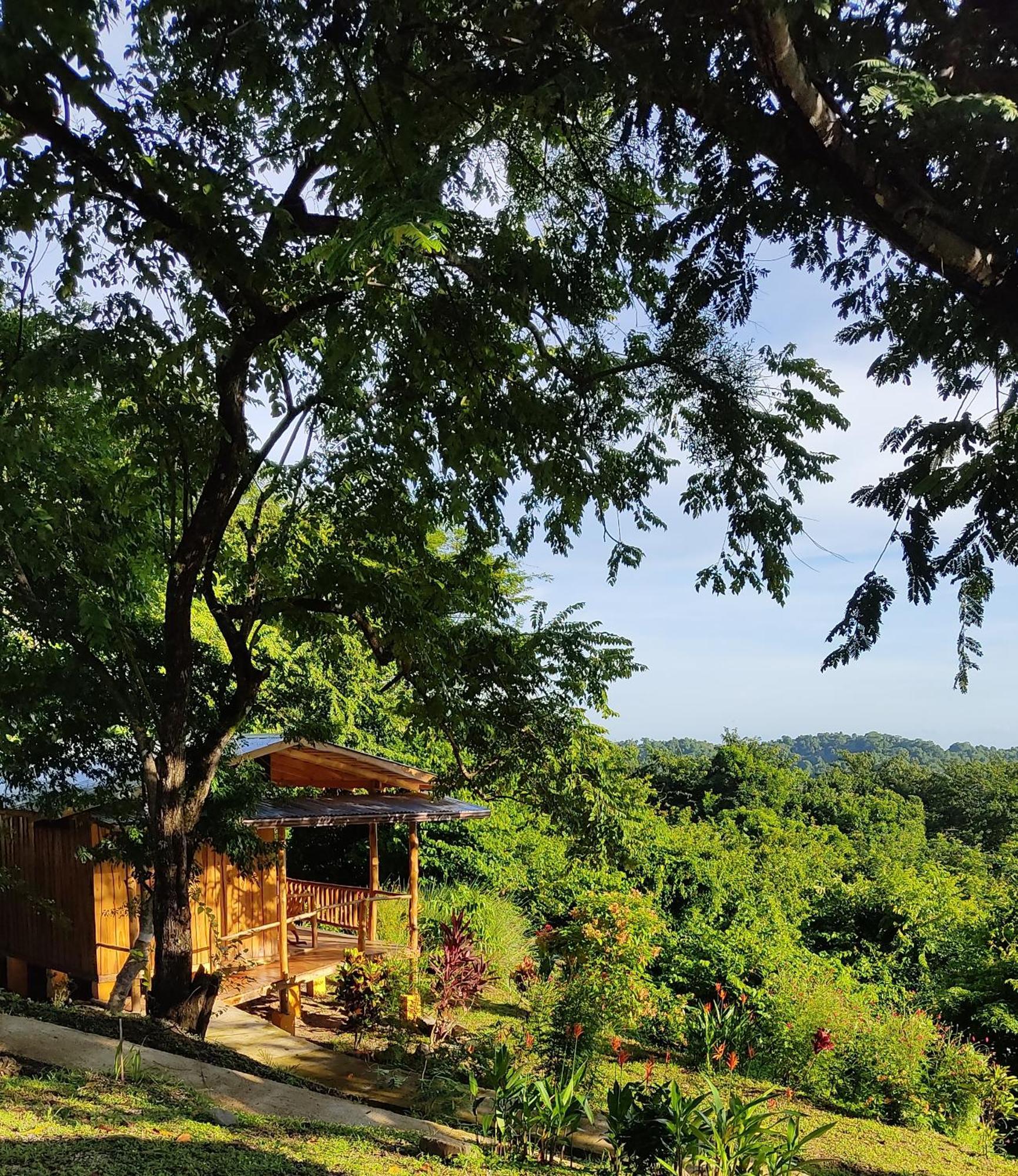 Finca Colibri Ecolodges En Pleine Nature Ferry Playa Najanjo Costa Rica Cabo Blanco Zewnętrze zdjęcie