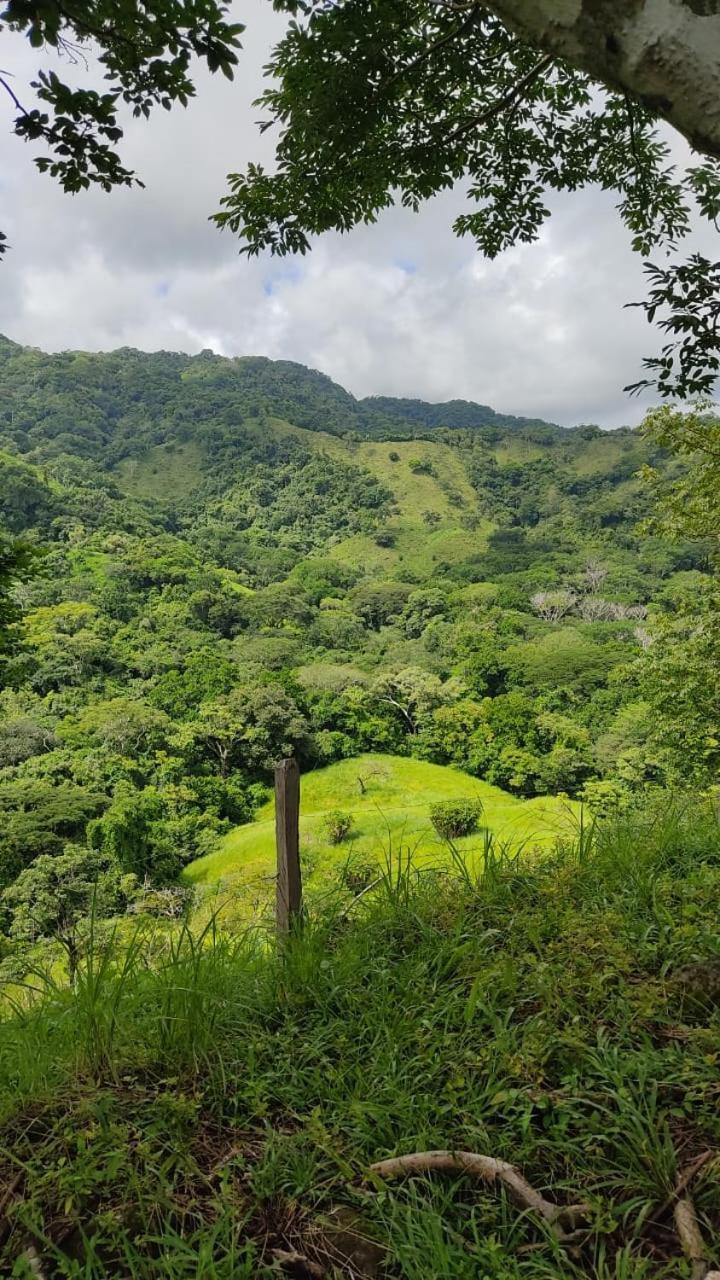 Finca Colibri Ecolodges En Pleine Nature Ferry Playa Najanjo Costa Rica Cabo Blanco Zewnętrze zdjęcie