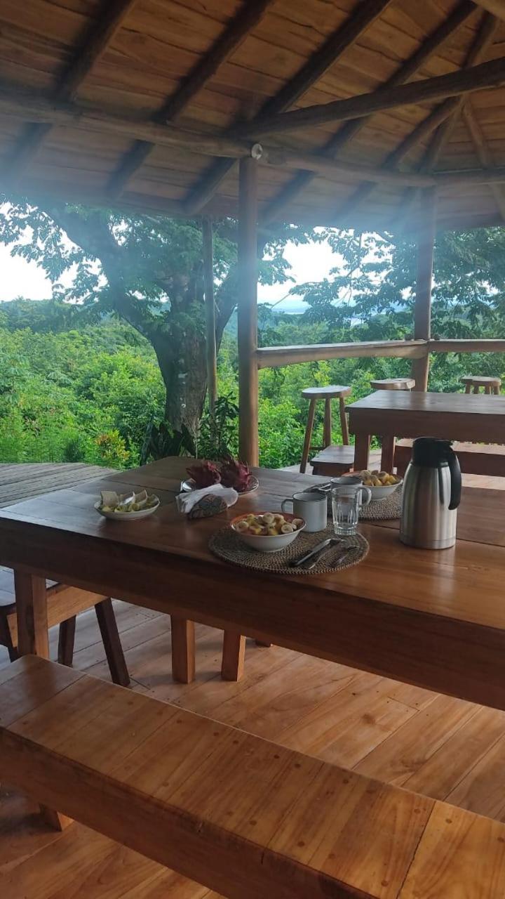 Finca Colibri Ecolodges En Pleine Nature Ferry Playa Najanjo Costa Rica Cabo Blanco Zewnętrze zdjęcie