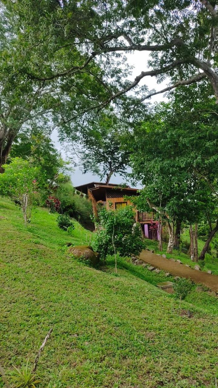 Finca Colibri Ecolodges En Pleine Nature Ferry Playa Najanjo Costa Rica Cabo Blanco Zewnętrze zdjęcie