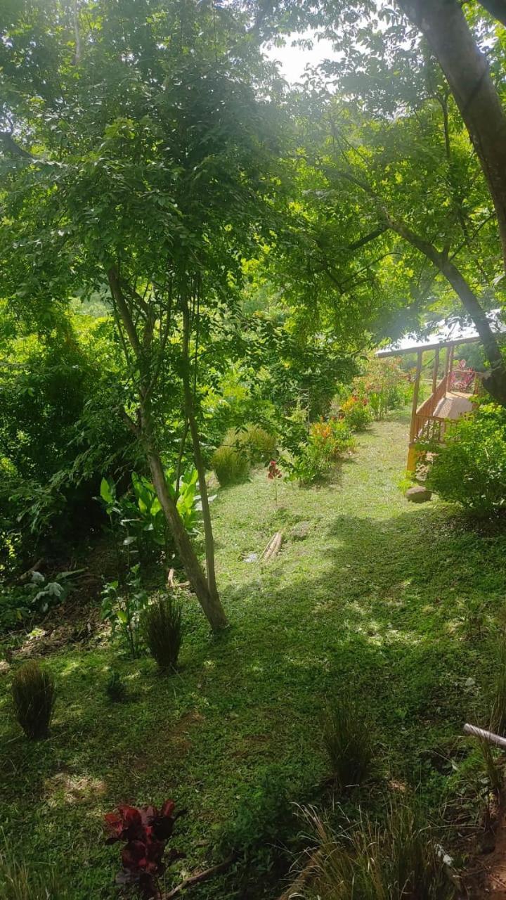 Finca Colibri Ecolodges En Pleine Nature Ferry Playa Najanjo Costa Rica Cabo Blanco Zewnętrze zdjęcie