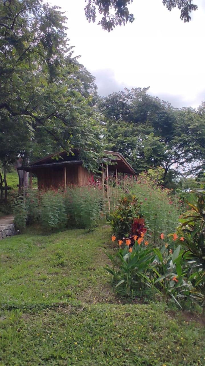 Finca Colibri Ecolodges En Pleine Nature Ferry Playa Najanjo Costa Rica Cabo Blanco Zewnętrze zdjęcie